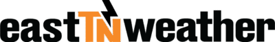 wordmark - orange-black